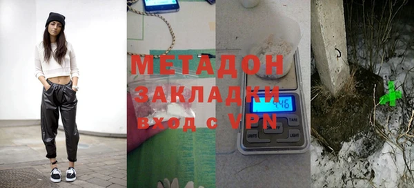 индика Новозыбков